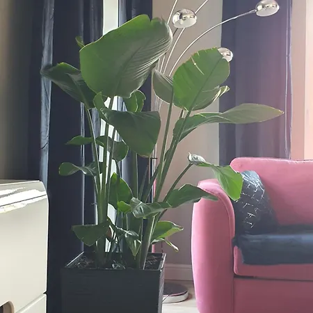 Black&white Skarbowa 2 Parking * 레스노