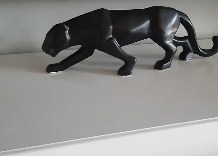 Apartment Black&white Skarbowa 2 Parking