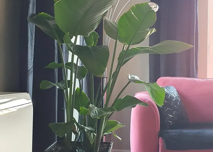 Black&white Skarbowa 2 Parking * Leszno (Greater Poland)